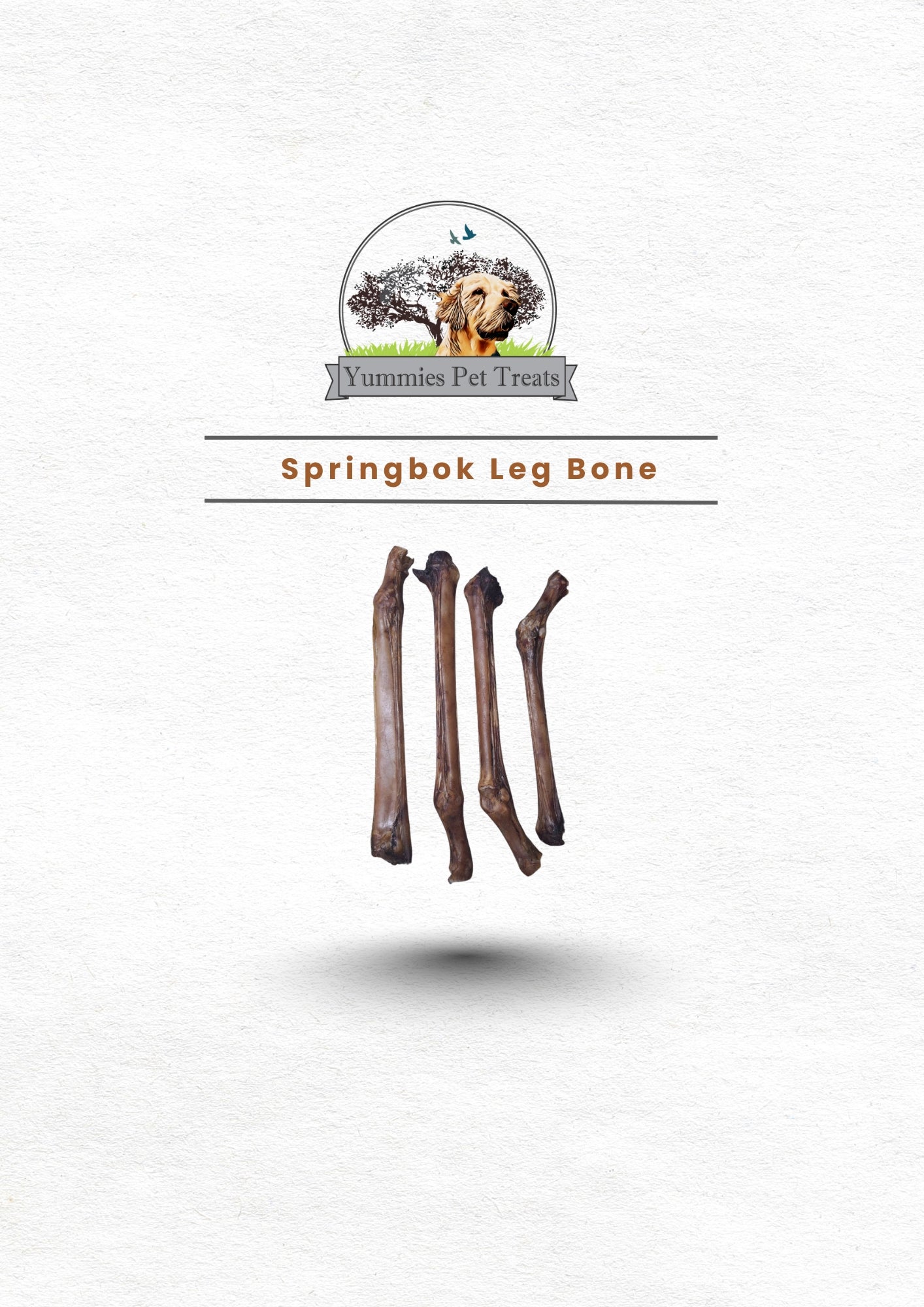 Springbok Leg Bone (per unit)