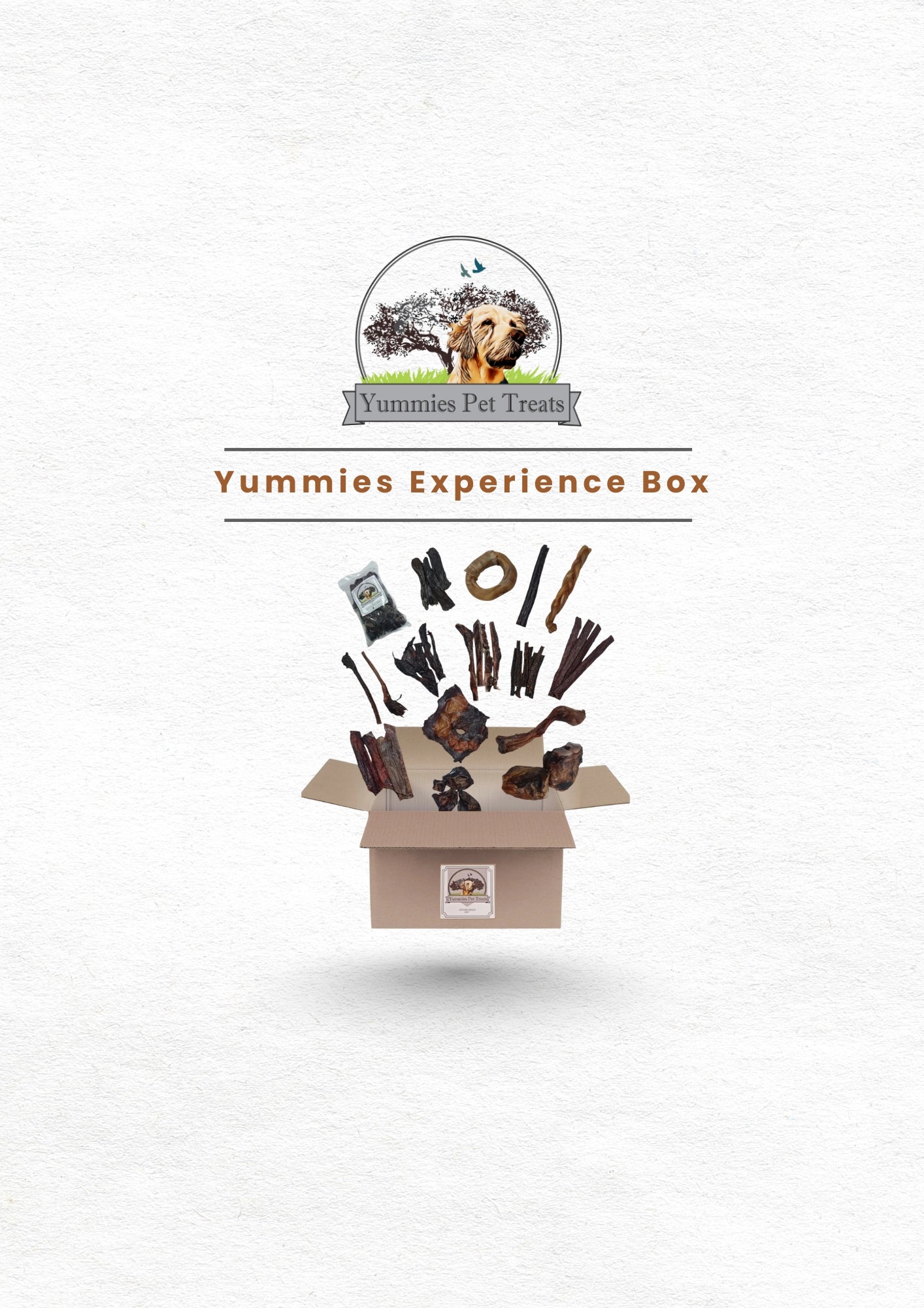Yummies Experience Box