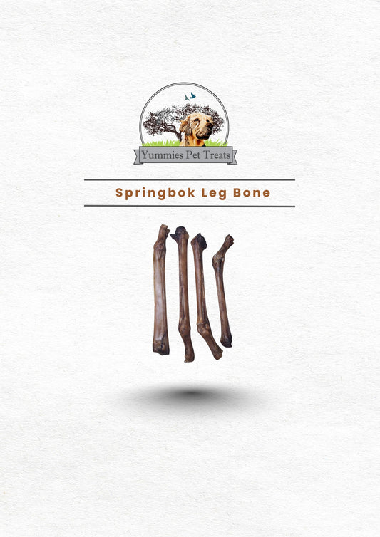 Springbok Leg Bone (per unit)