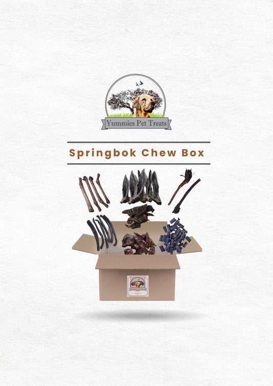 Springbok Chew Box