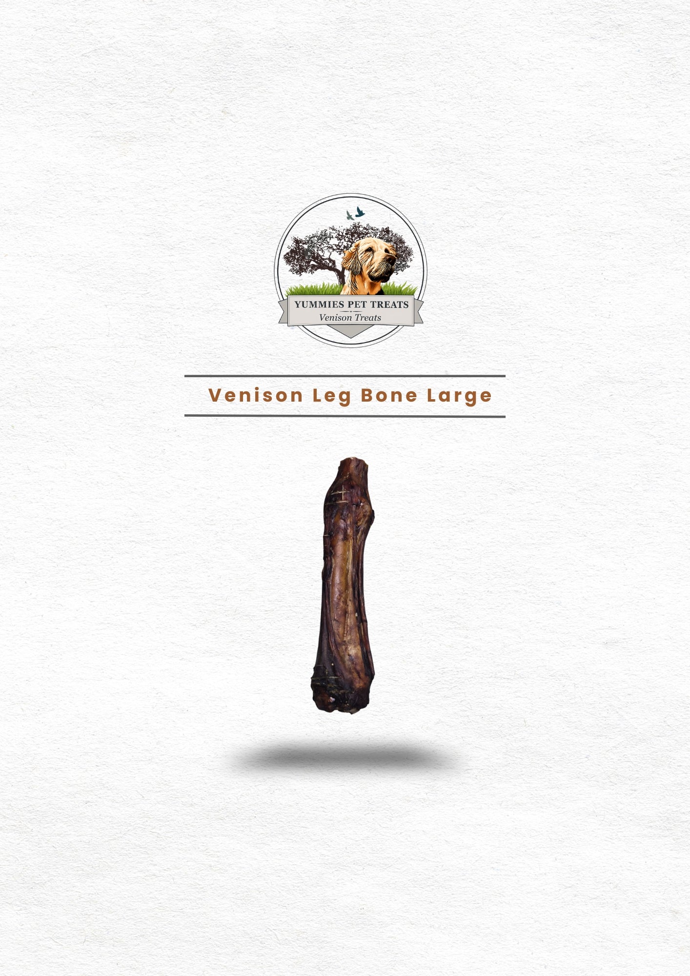 Venison Leg Bone